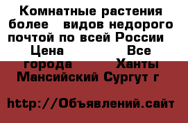 Комнатные растения более200видов недорого почтой по всей России › Цена ­ 100-500 - Все города  »    . Ханты-Мансийский,Сургут г.